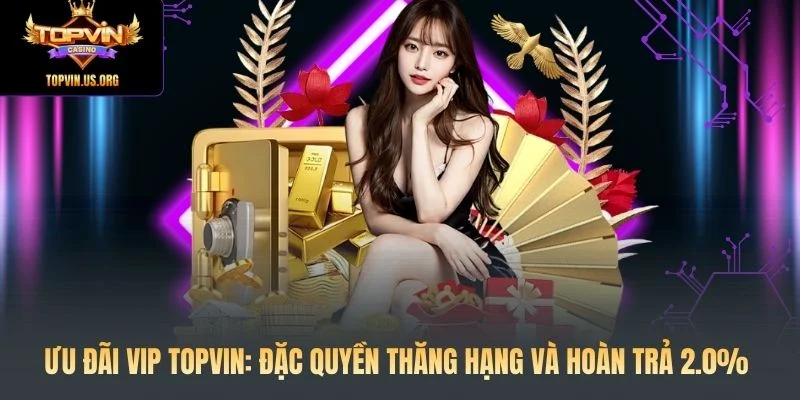 Ưu Đãi VIP Topvin: Đặc Quyền Thăng Hạng Và Hoàn Trả 2.0%