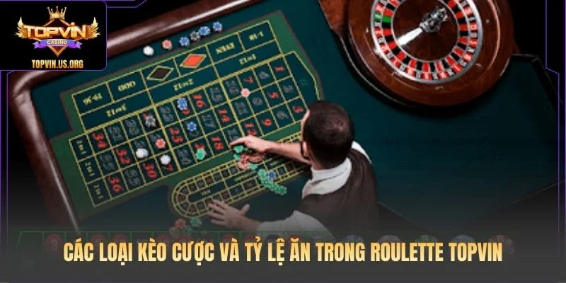 Các loại kèo cược và tỷ lệ ăn trong Roulette Topvin