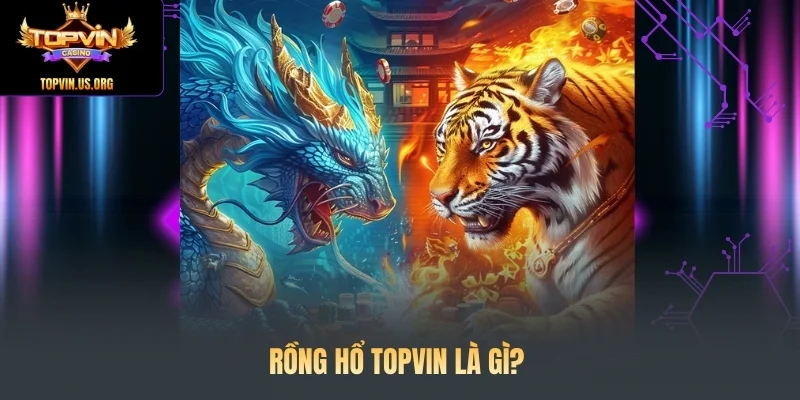 Rồng Hổ Topvin là gì?