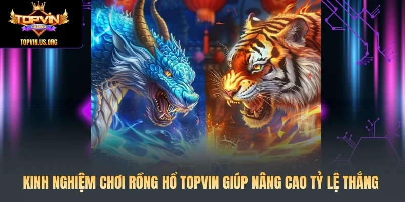 Kinh nghiệm chơi Rồng Hổ Topvin giúp nâng cao tỷ lệ thắng