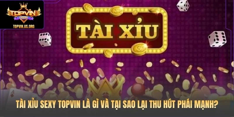 Tài Xỉu Sexy Topvin là gì và tại sao lại thu hút phái mạnh?